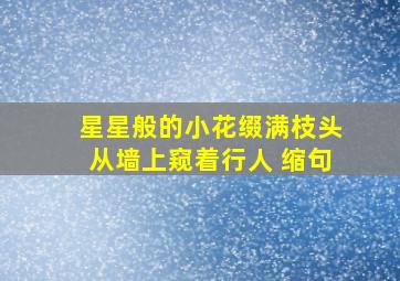 星星般的小花缀满枝头从墙上窥着行人 缩句